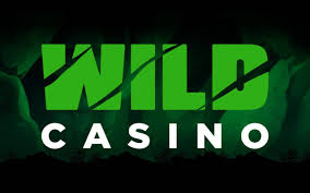 Total Evaluation of Wild Gambling Enterprise